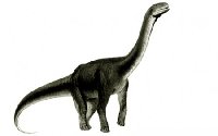Атсинганозавр