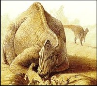 По какой причине вымерли динозавры?
