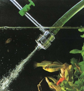 Часть I. Введение в аквариумистику | ПОТОК И АЭРАЦИЯ