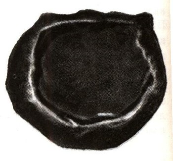 1860-2.jpg