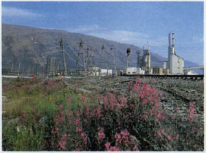 2001-5.jpg